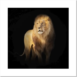 Lion Animal Wildlife Jungle Nature Freedom Travel Adventure Posters and Art